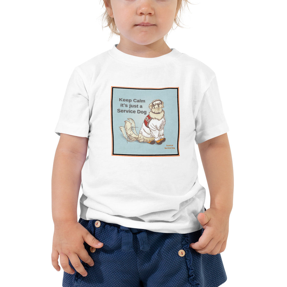Toddler Short Sleeve Tee - Keep Calm