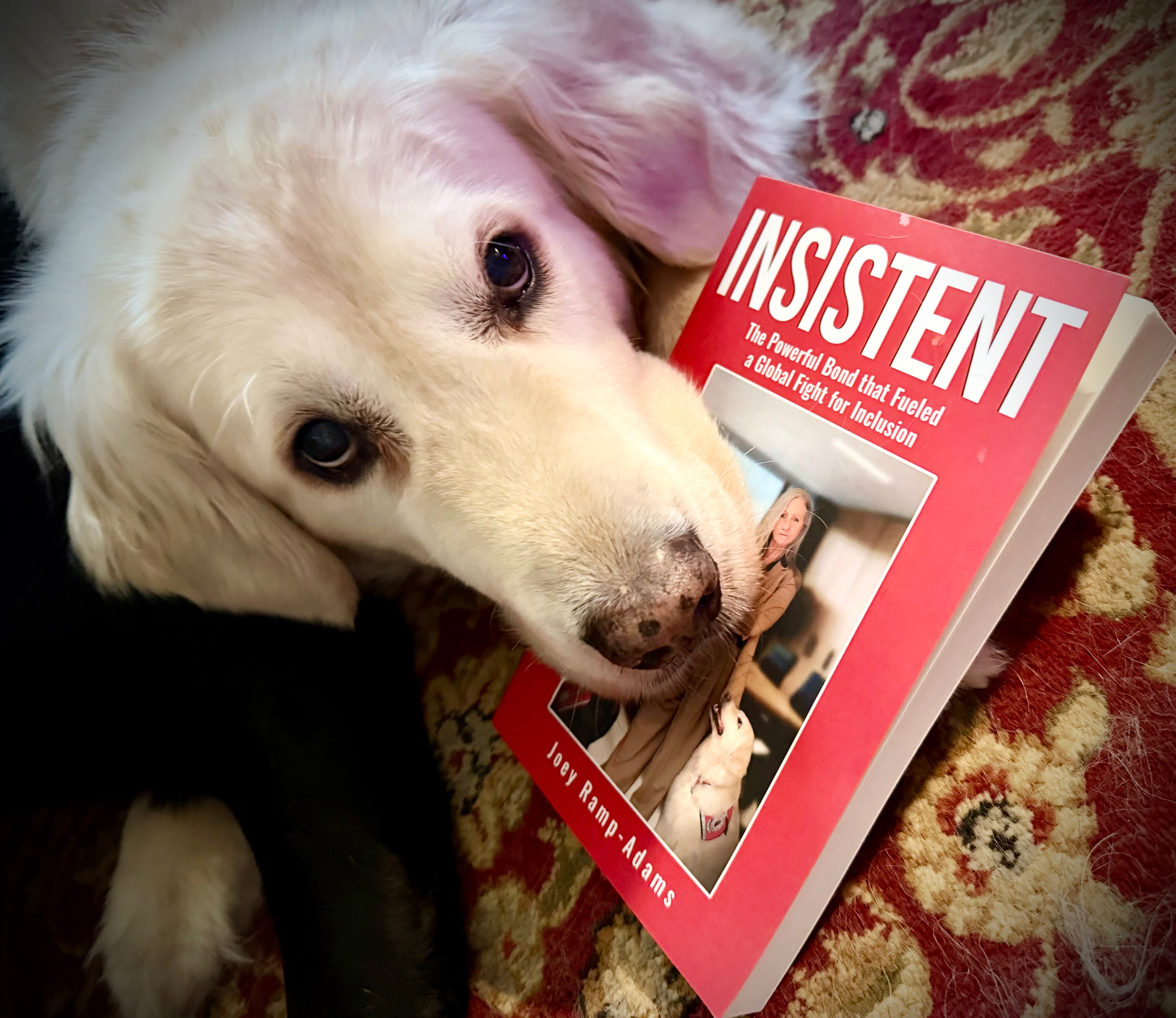 Autographed and pawtographed copy of INSISTENT: The Bond That Fueled a Global Fight for Inclusion