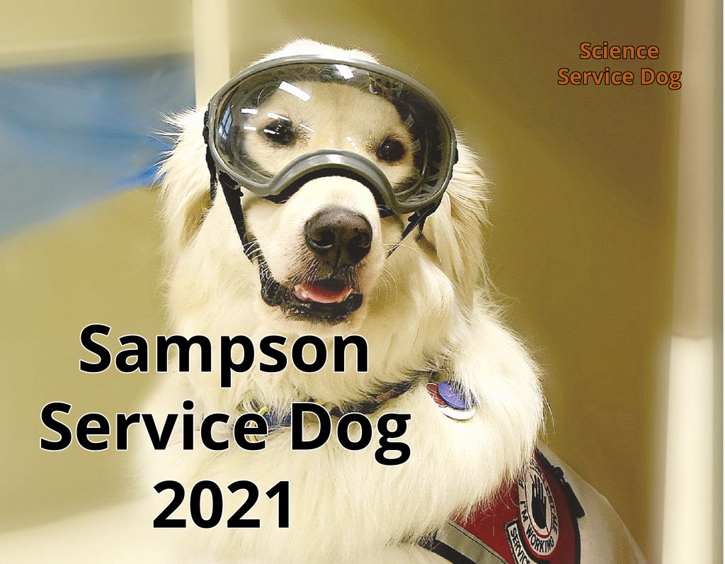 Science Service Dog