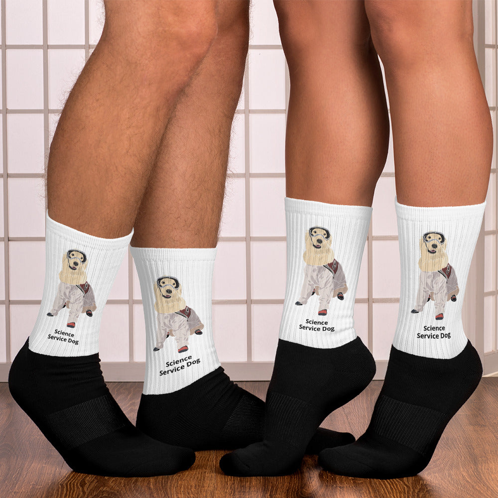 Science Dog Socks